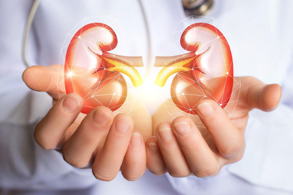 Renal Transplantations in Abu Dhabi